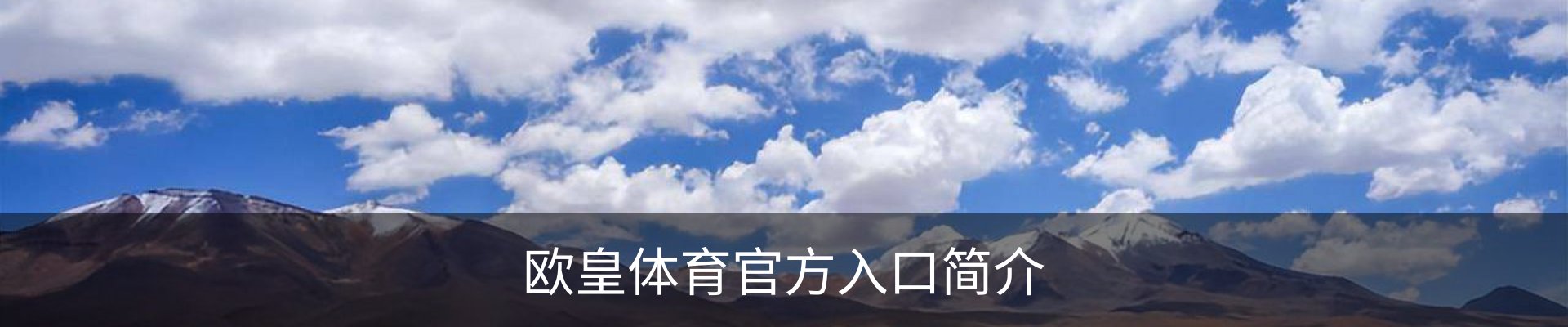 欧皇体育官方入口简介